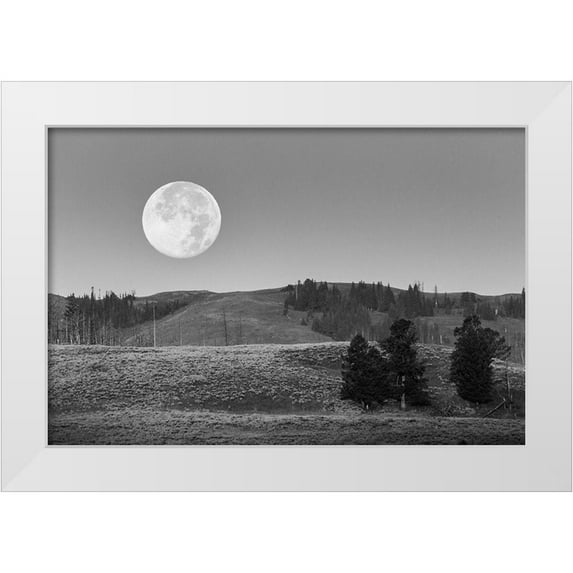 Herbert, Neal 24x17 White Modern Wood Framed Museum Art Print Titled - Moonset, Lamar Valley, Yellowstone National Park