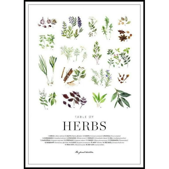 Herbs Poster Wall Art, Modern Wall Decor For Living Room Bedroom, 8x12 UNFRAMED