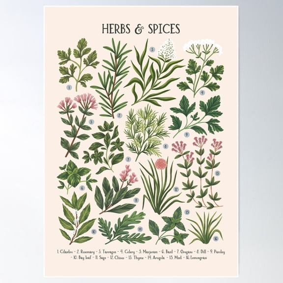 Herbs & Spices Beige Poster Wall Art Modern Wall Decor POSTER Wall Art Home Decor Haging Poster Cute Birthday Gift