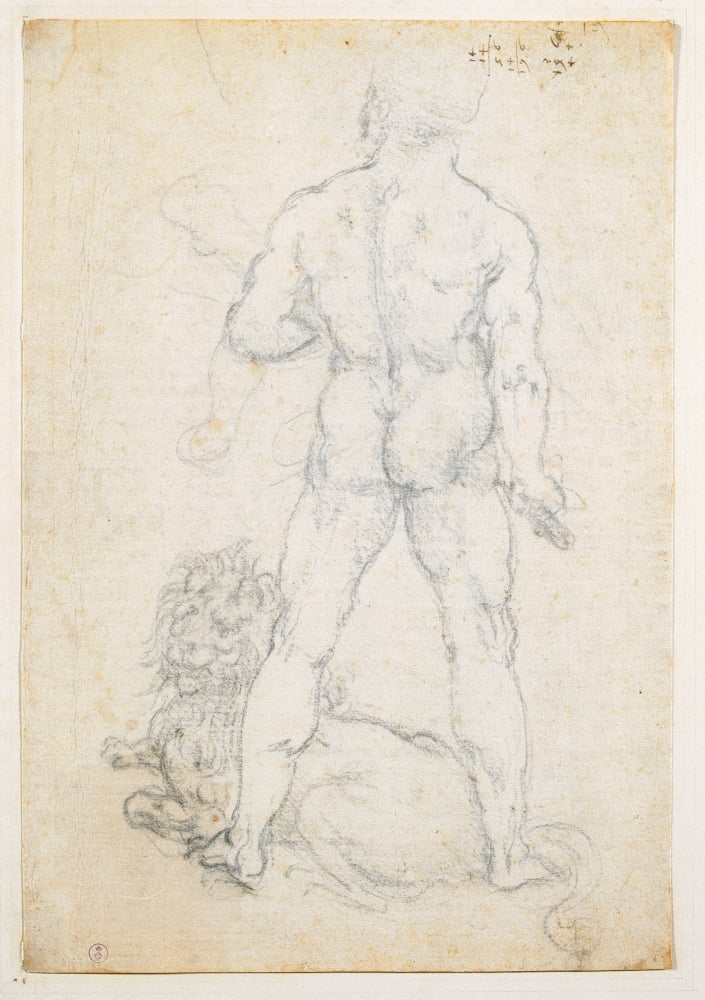 Hercules With The Nemean Lion Canvas Art - (24 x 36)