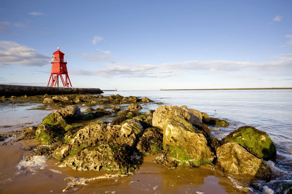 Herd Groyne Lighthouse South Shields Tyne And Wear England Canvas Art - John Short Design Pics (36 x 24)