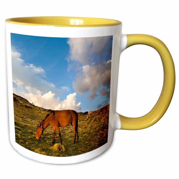 3drose, Herd of Horses, Highlands of Ethiopia - Af16 Mzw0524 - Martin Zwick, 11oz Two-tone Yellow Mug