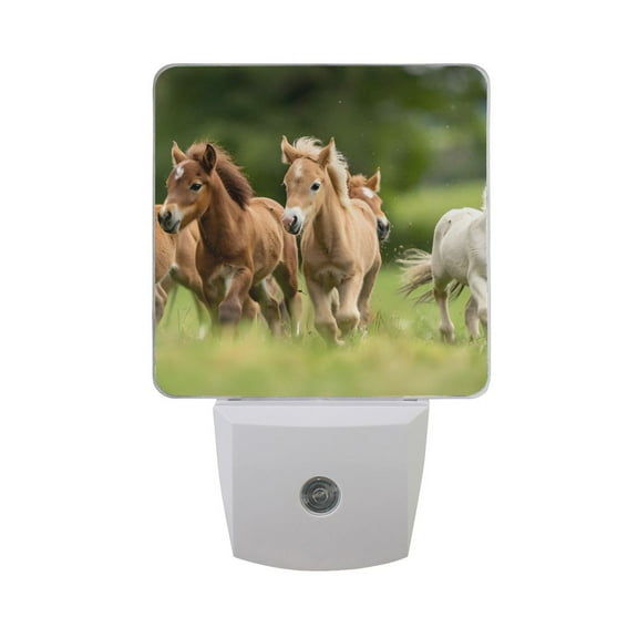 Herd Of Ponies Horse Running Night Light 2 Pack LED Nightlight Plug into Wall Dusk to Dawn Sensor Soft White