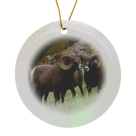 3drose, Herd of Rocky Mountain Bighorn Sheep Rams, Circle Porcelain Ornament