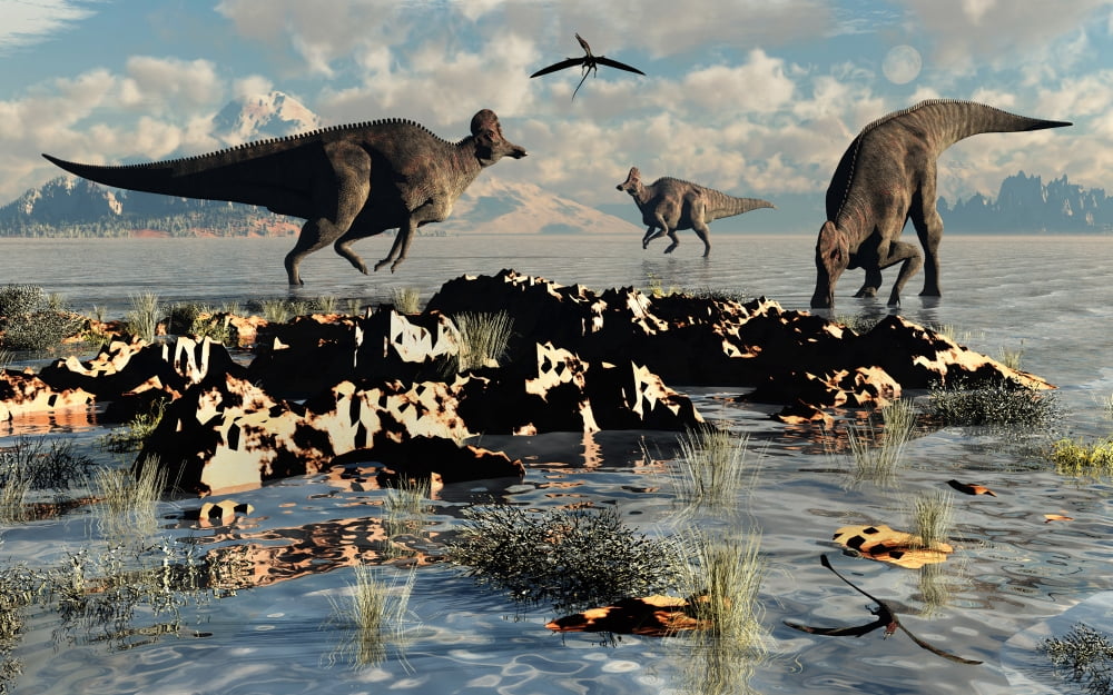 Herd of Corythosaurus duckbill dinosaurs grazing Canvas Art - Mark StevensonStocktrek Images (18 x 12)