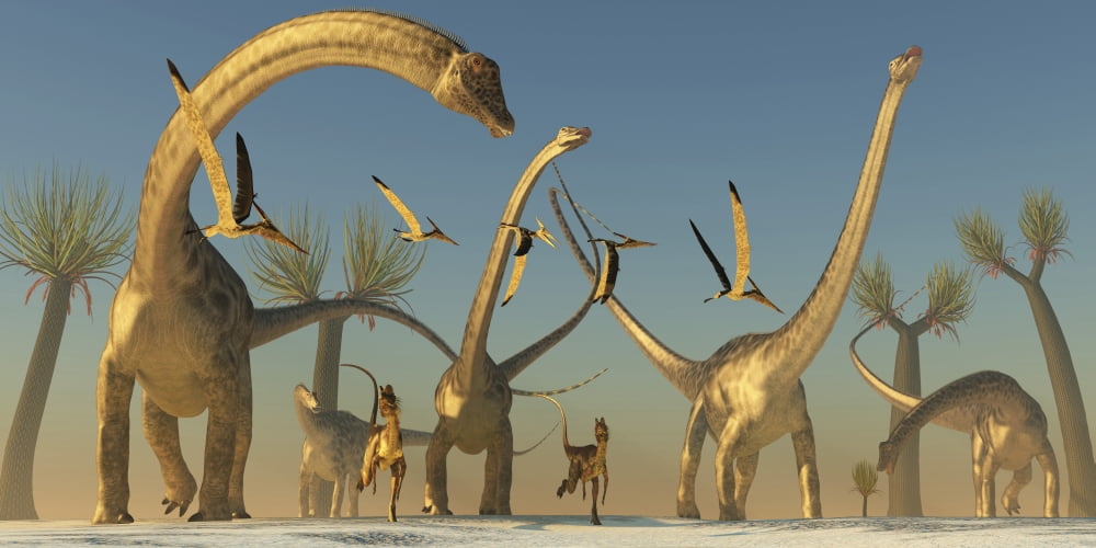 Herd of Diplodocus dinosaurs Canvas Art - Corey FordStocktrek Images (20 x 10)