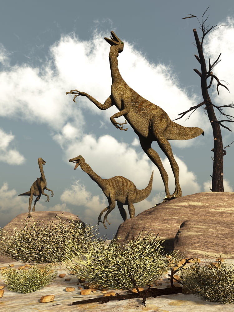 Herd of Gallimimus dinosaurs in the desert Canvas Art - Elena DuvernayStocktrek Images (24 x 32)