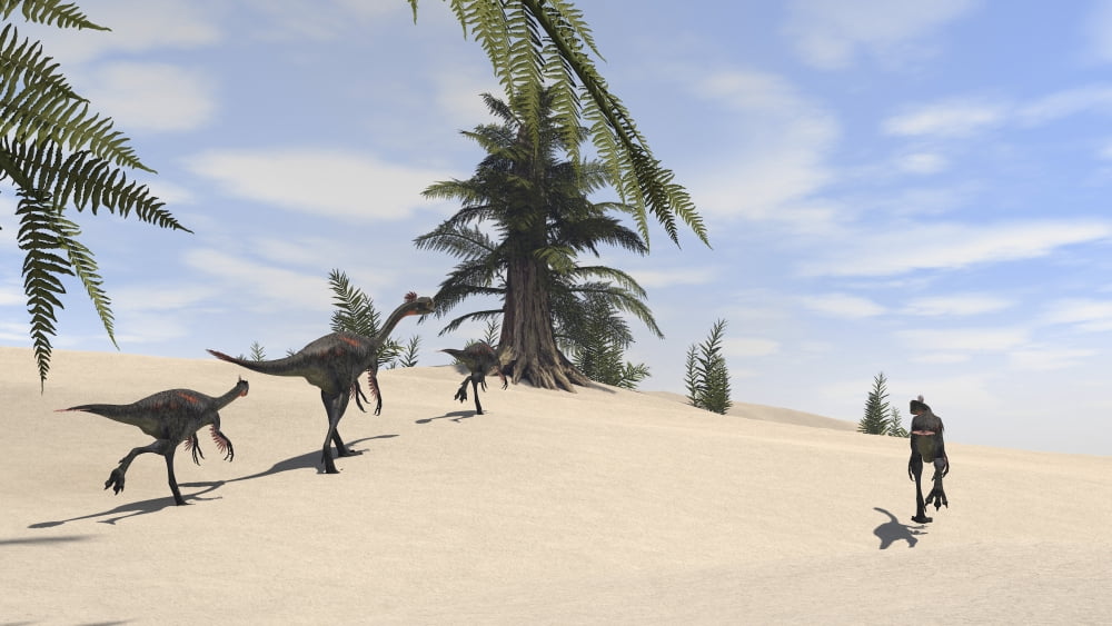 Herd of Gigantoraptors on desert terrain Canvas Art - Kostyantyn IvanyshenStocktrek Images (19 x 11)