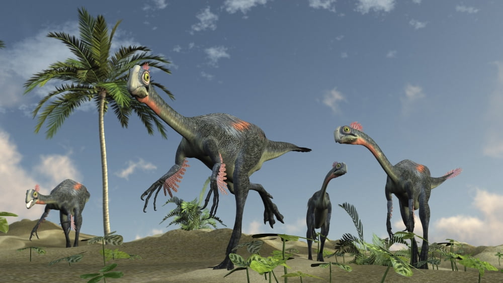 Herd of Gigantoraptors running Canvas Art - Kostyantyn IvanyshenStocktrek Images (38 x 22)