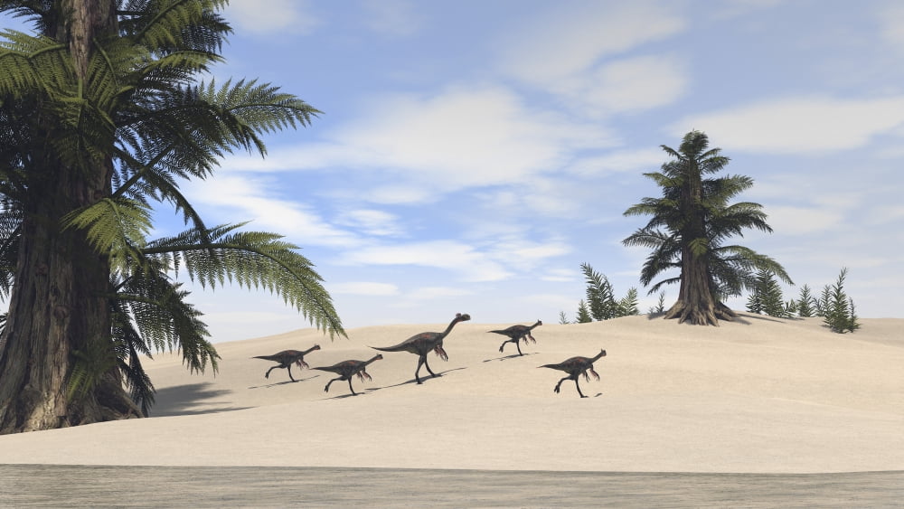 Herd of Gigantoraptors walking along the shore Canvas Art - Kostyantyn IvanyshenStocktrek Images (38 x 22)