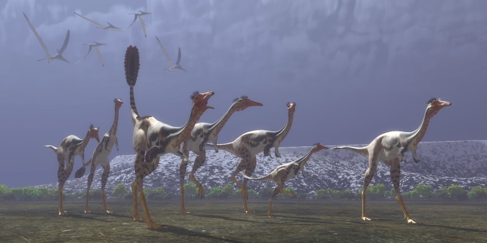 Herd of Mononykus followed by a flock of Pteranodons Canvas Art - Corey FordStocktrek Images (40 x 20)