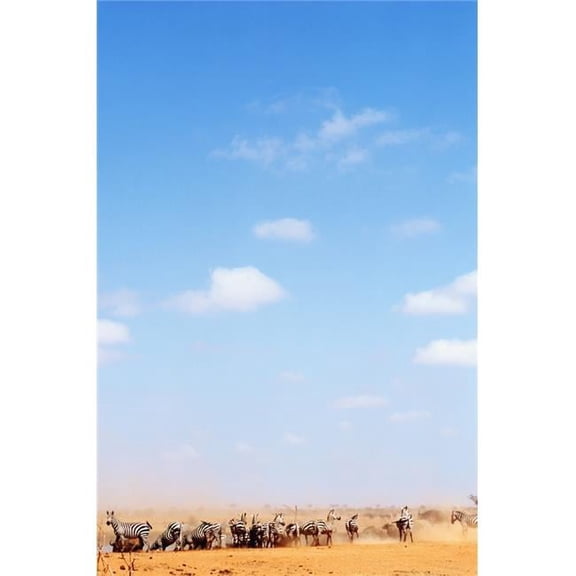 Herd of Zebras In Dusty Scrubland Poster Print