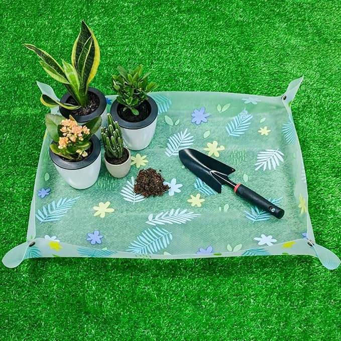 Choosing Tools for Specific Plants Like Succulents Or Bonsai: Expert Tips