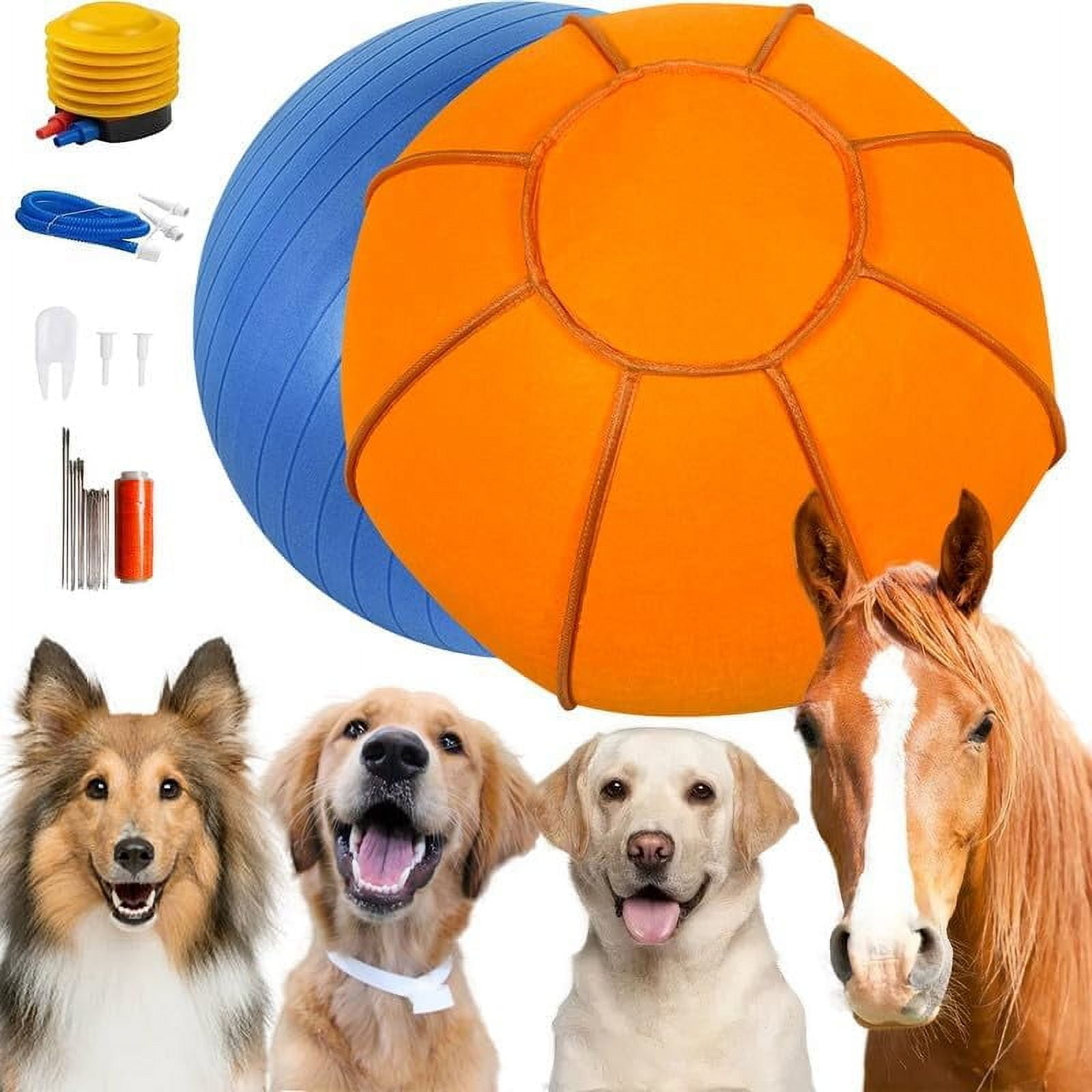 Jolly Ball Herding Ball Petsmart Herding Ball For Corgi I Tested