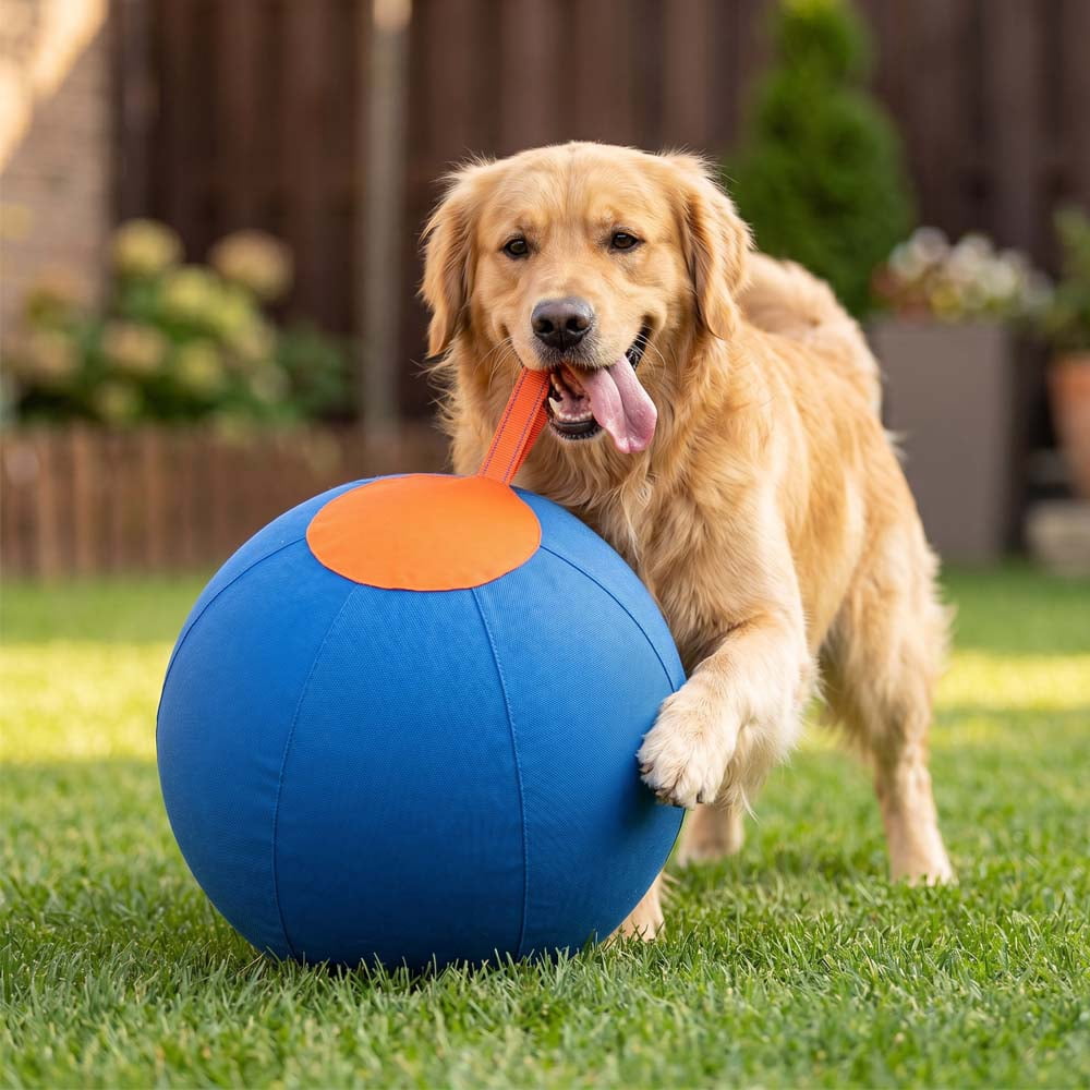 Herding Ball for Dogs Large, Upgraded 18" Dog Herding Ball for All Breeds, Herding Dog Toys Indoor Outdoor Play Exercise