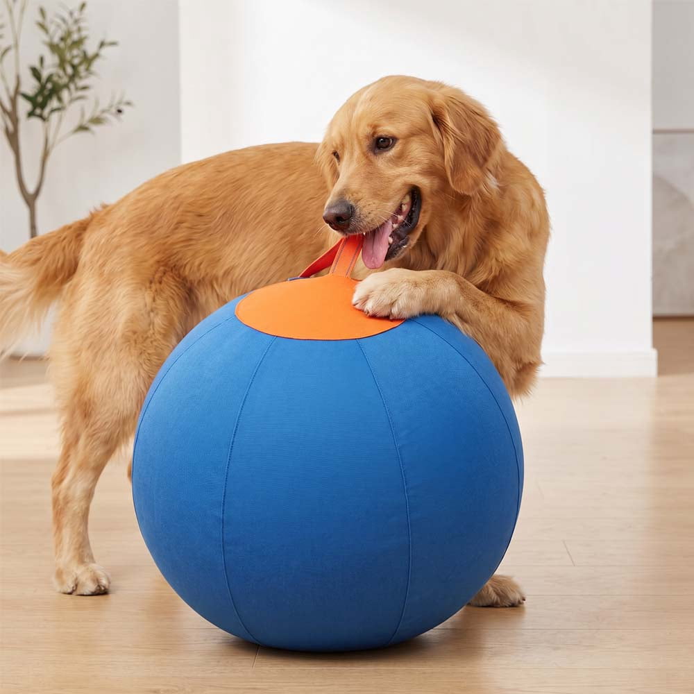 Herding Ball for Dogs Large, Upgraded 22" Dog Herding Ball for All Breeds, Herding Dog Toys Indoor Outdoor Play Exercise