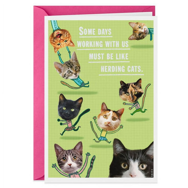 https://i5.walmartimages.com/seo/Herding-Cats-Funny-Administrative-Professionals-Day-Card_da71254a-945b-403d-9504-334b65bf61da.88e25a315885baf40a50393f928555f9.jpeg?odnHeight=768&odnWidth=768&odnBg=FFFFFF