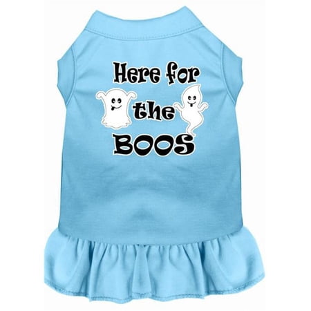 Here for the Boos Screen Print Dog Dress, Baby Blue - Large 14
