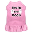 thumbnail image 1 of Pet Dog  Cat Dress Screen Printed, "Here For The Boos", 1 of 10