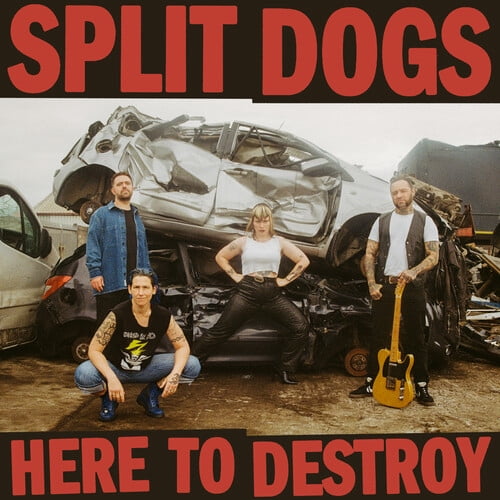 Split Dogs - Here To Destroy - Music & Performance - CD