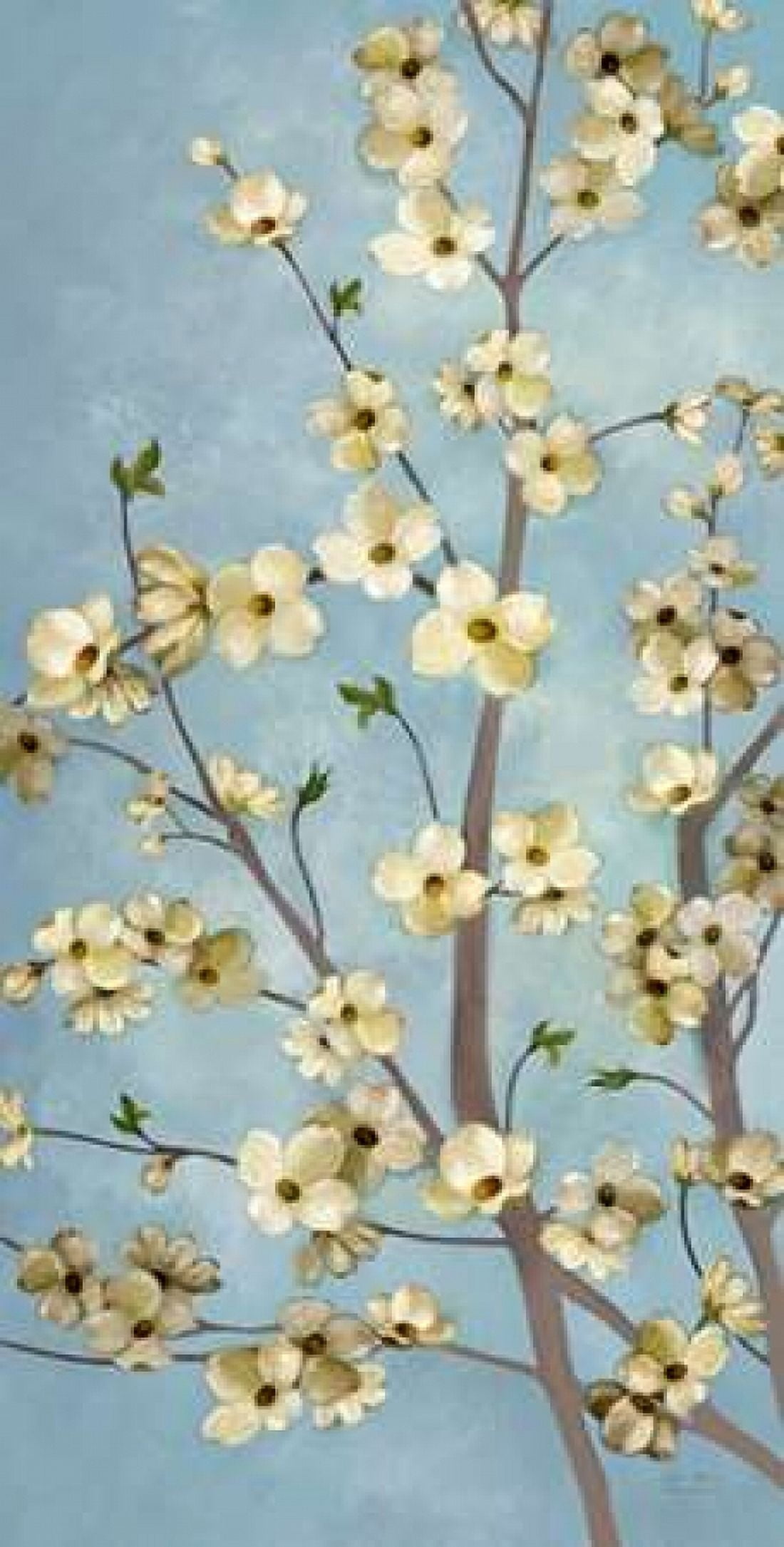 Heritage Dogwood 1 Canvas Art - Art Atelier Alliance (24 x 36)