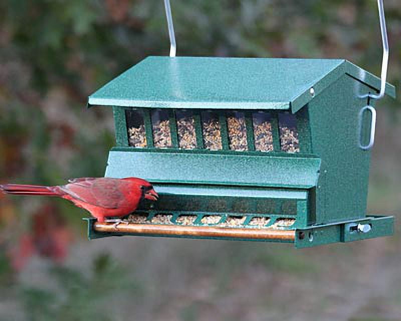 Green Powder-Coated Steel Bird Feeder with Pole and Hanger