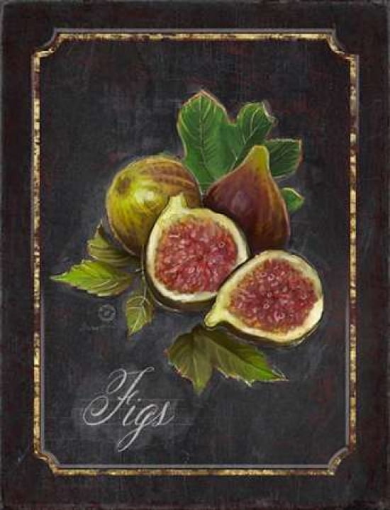 Heritage Figs Canvas Art - Chad Barrett (18 x 24)