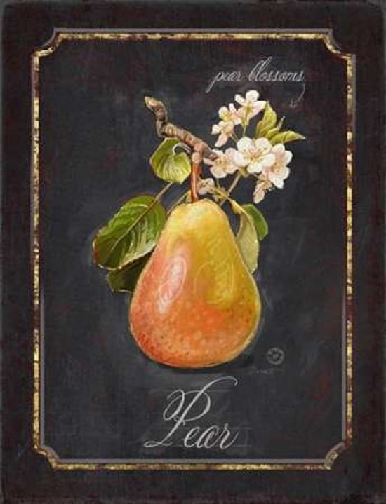 Heritage Pear Canvas Art - Chad Barrett (18 x 24)