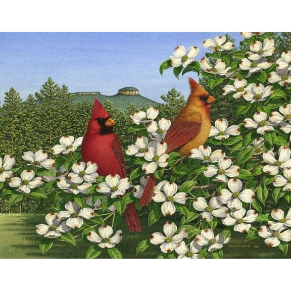 Heritage Puzzle Inc. Carolina Calling Jigsaw Puzzle (550-Piece)