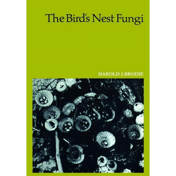 Heritage The Bird's Nest Fungi, (Paperback)