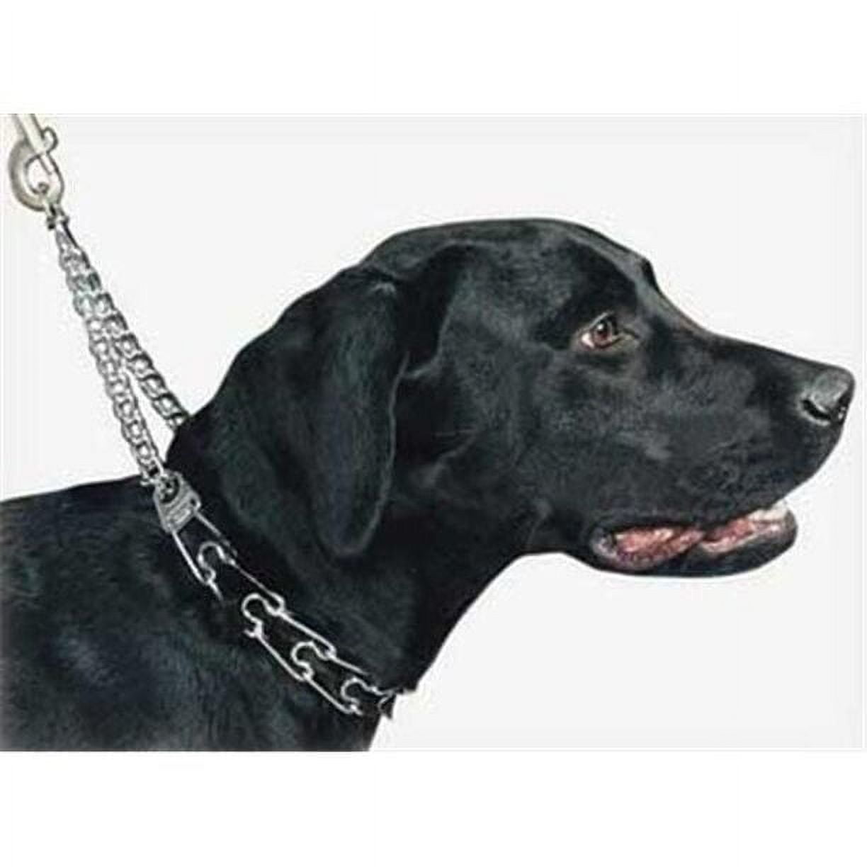 Herm Sprenger UltraPlus Prong Training Dog Collar 20in neck, 3.25mm