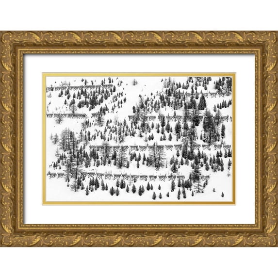 Hermann, Uschi 18x13 Gold Ornate Wood Framed with Double Matting Museum Art Print Titled - Trees And Fences
