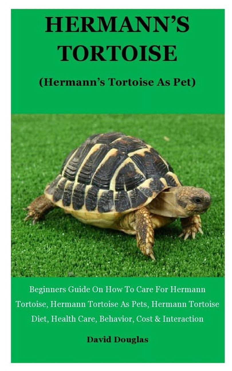 Hermann's Tortoise : Beginners Guide On How To Care For Hermann ...