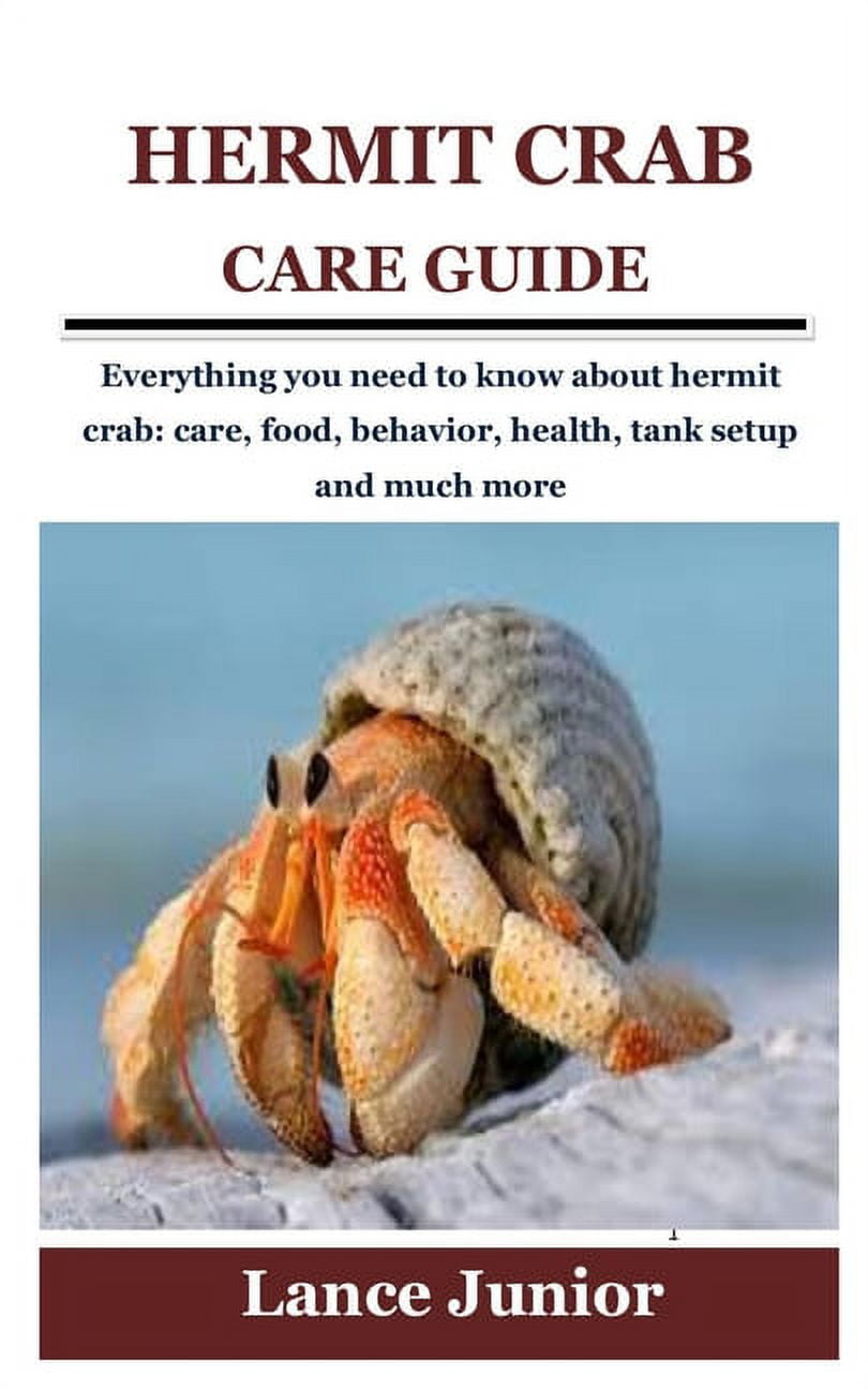 Hermit crab cheap food walmart