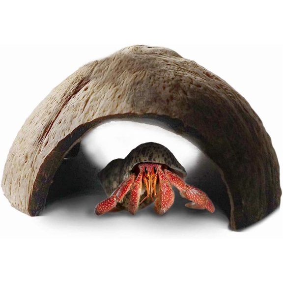 Hermit Crab Coconut Cave, Spacious  Interior Habitat , Ascension Coco Shelter  Decor Utility, Aquarium Terrarium Accessory Reptile Compatible Enclosure Feature Design