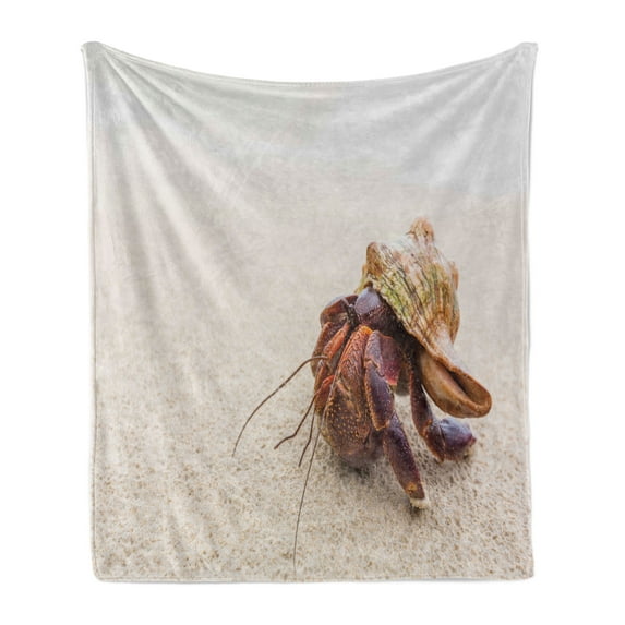 Hermit Crab Soft Flannel Fleece Throw Blanket, High Detailed Picturesque of a Coenobita Perlatus, Cozy Plush for Indoor and Outdoor Use, 50" x 70", Tan Multicolor, by Ambesonne