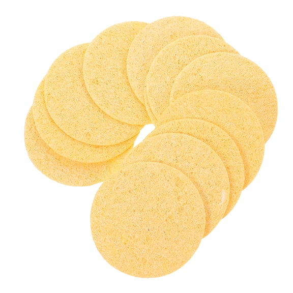 Hermit Crab Sponge 12 Pcs Humidity Maintaining Fish Tank Accessories Sponges Nutrition