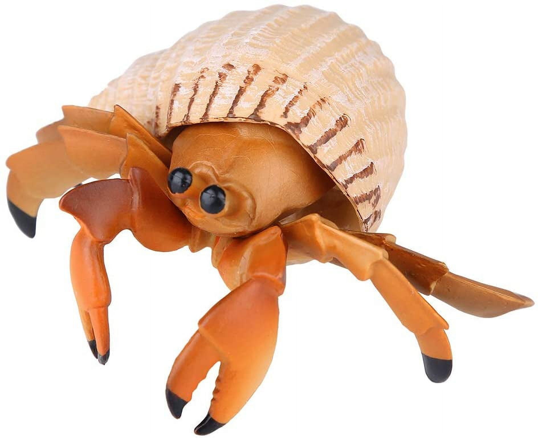 Hermit Crab Toy, Safe Educational Simulation Marine Biological Model
