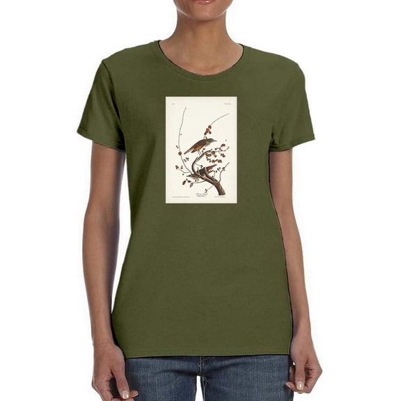 Hermit Thrush T-Shirt Women -John James Audubon Designs, Female 3X-Large