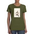 thumbnail image 1 of Hermit Thrush T-Shirt Women -John James Audubon Designs, Female 5X-Large, 1 of 4