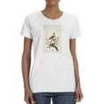 thumbnail image 1 of Hermit Thrush T-Shirt Women -John James Audubon Designs, Female XX-Large, 1 of 4