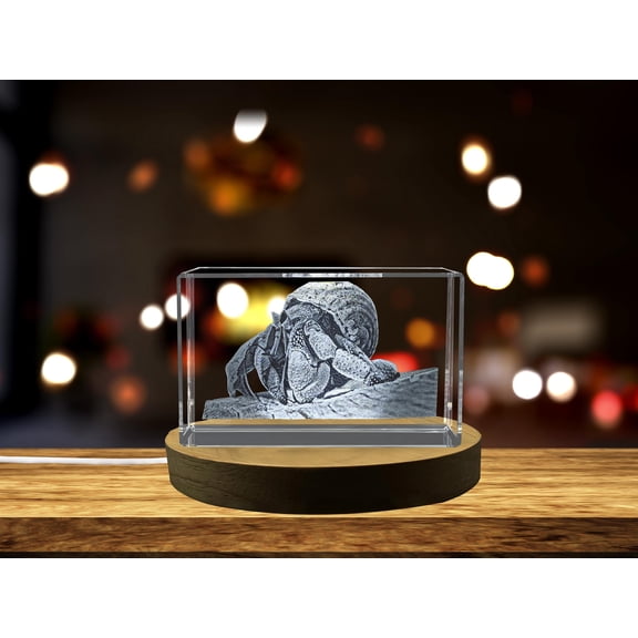 Hermit crab | Animals Collection 3D Engraved Crystal