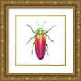thumbnail image 1 of Hernandez, Larisa 12x12 Gold Ornate Wood Framed with Double Matting Museum Art Print Titled - Buggin Out II, 1 of 4