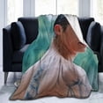 thumbnail image 1 of Hero Fiennes Tiffin Fleece Blanket for Couch - Throw Blanket Lightweight Hero Fiennes Tiffin Merch Super Soft Cozy Luxury Bed Blanket Microfiber and Throws for Sofa, 1 of 6