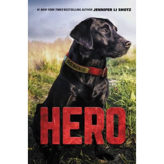 Pre-Owned Hero (Hardcover) 0062652214 9780062652218
