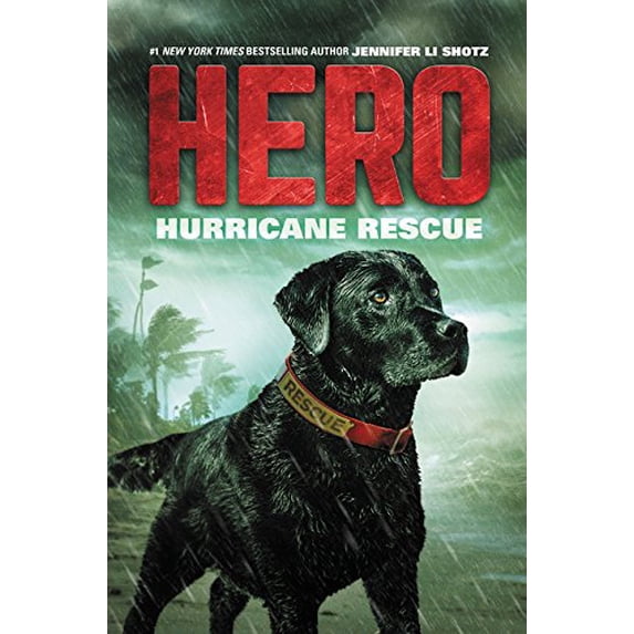 Pre-Owned Hurricane Rescue (Hero, 2) (Hardcover) 0062791397 9780062791399