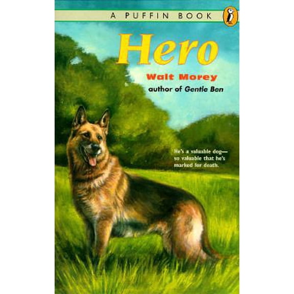 Pre-Owned Hero (Paperback) 014037793X 9780140377934