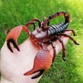 thumbnail image 1 of HeroNeo Insect Simulation Model Toys Simulation Wildlife Model Ornaments Creepy Lifelike, 1 of 15