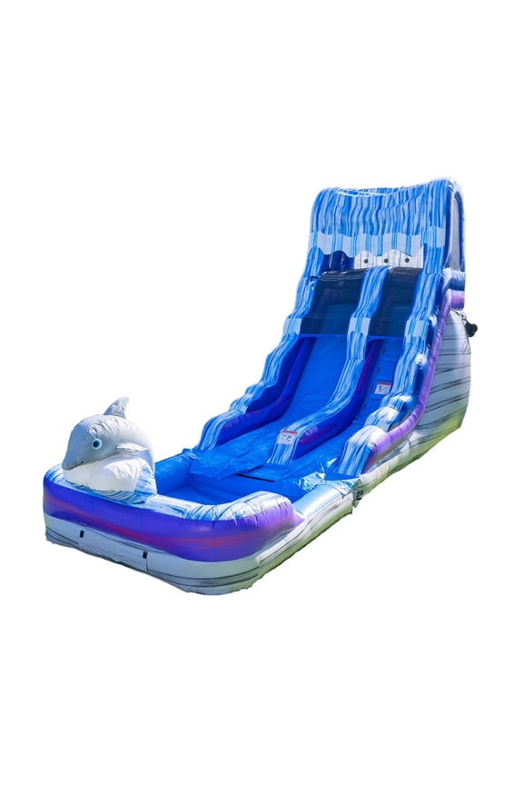 Dolphin Marble Water Slide with Detachable Pool, Commercial Grade PVC Vinyl, Inflatable (Blower Included)