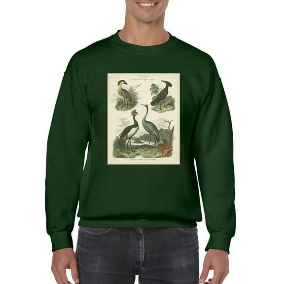 Heron And Crane Ii Sweatshirt Men -Sydenham Edwards Designs, Male 5X-Large